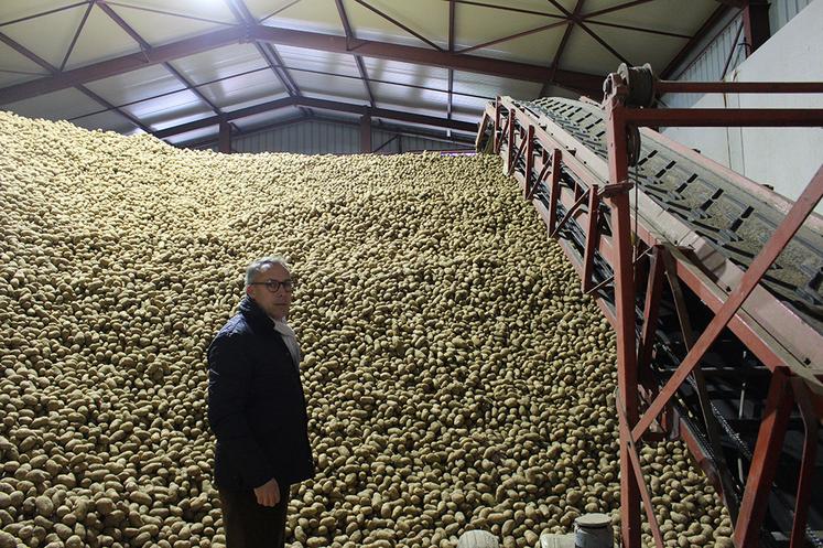 Le nouveau bâtiment ventilé assure le stockage des pommes de terre achetées  par McCain.