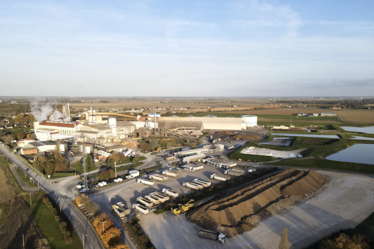 Cristal Union décarbonation sucre et sucrerie prime