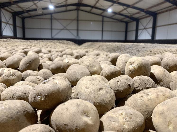 Le stockage pourrait être difficile à maîtriser pour certains lots. 