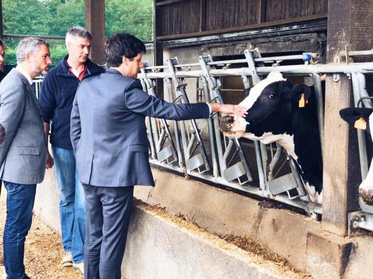 Quatre ministres de l'Agriculture défendent la stratégie du gouvernement contre la DNC.
