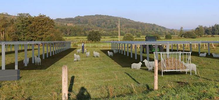 Le projet prévoit le doublement du cheptel ovin déjà présent, l'implantation de cultures maraîchères et la mise en place  d'un séchoir à fourrage cofinancé par TTR Energy. 