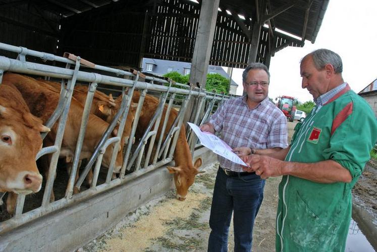 tuberculose bovine santé animale