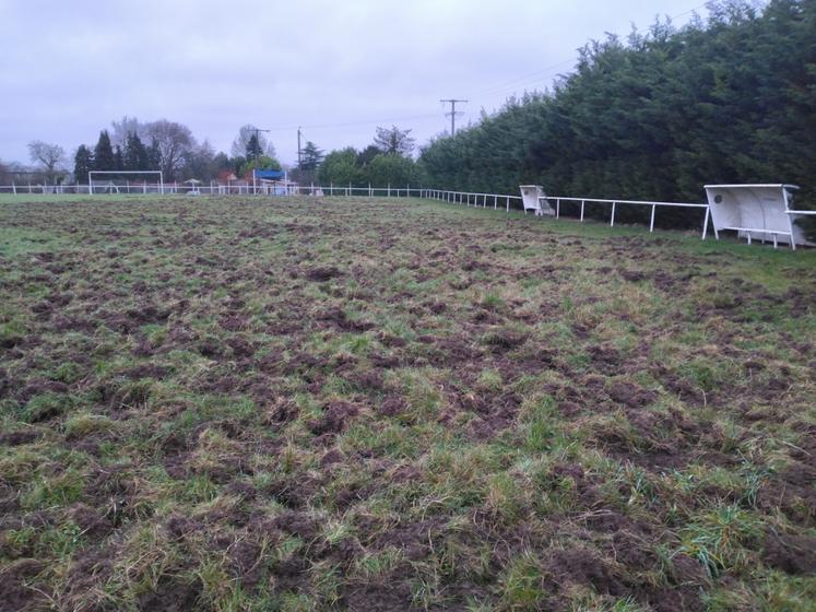 terrain de football sanglier dégâts Voyennes 