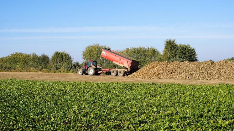 régime de perfectionnement actif