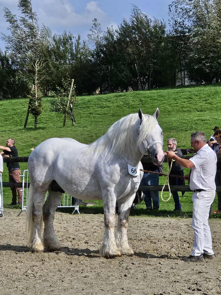 Au moment d’emmener son cheval,  il a une pensée pour son père,  qui lui a transmis la passion. 