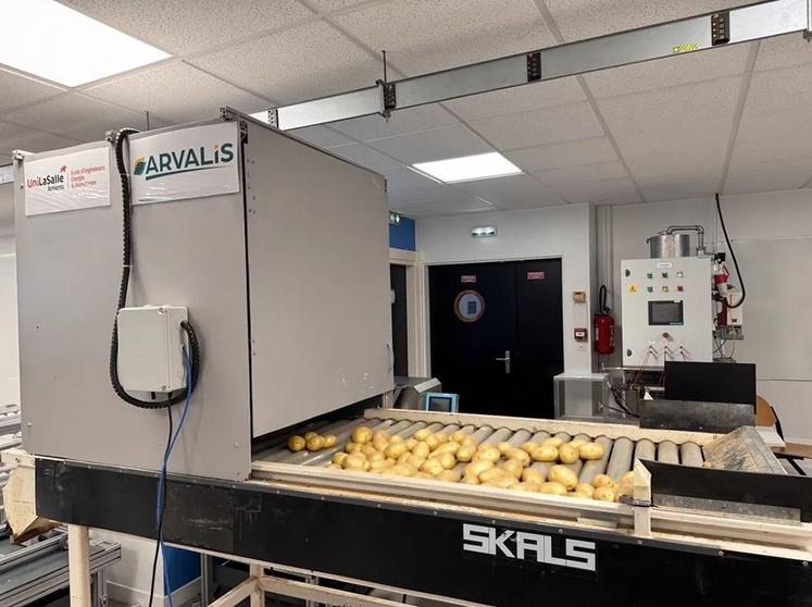 Le prototype créé par les étudiants d’UniLasalle Amiens permet de compter  et trier sans intervention humaine les tubercules de pommes de terre.