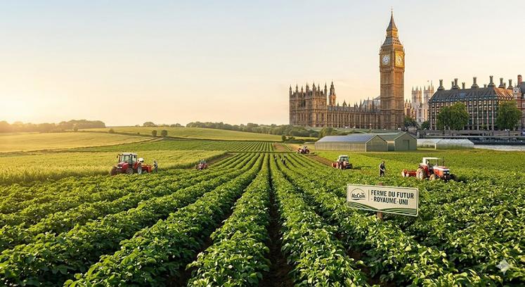 Aujourd’hui, au Royaume-Uni, 86 % des surfaces de pommes de terre travaillées avec ses partenaires sont intégrées dans son cadre d’agriculture régénératrice, avec des niveaux d’engagement variables. 