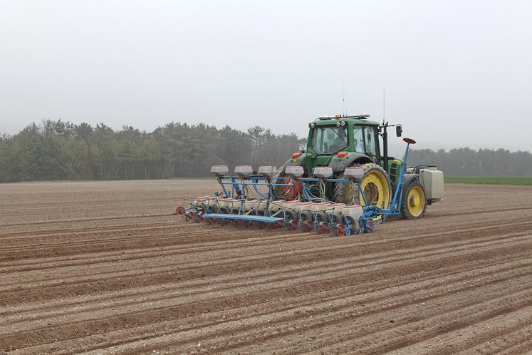 La date de levée (et non de semis) conditionne le potentiel de rendement : l’idéal est que toutes les betteraves soient levées pour la fin mars. 
