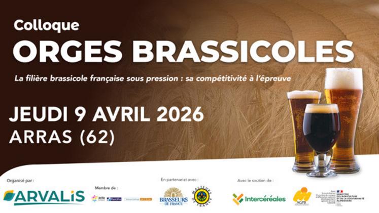 colloque orges brassicoles