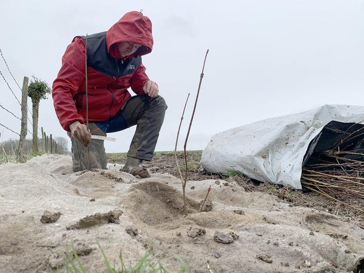 Charles Cardon, des pépinières Crété : «Ici, quatorze essences d’arbres sont plantées. Elles offrent des périodes de floraison  et de production de fruits différentes.» 