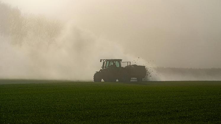 Mieux vaut éviter d’épandre le fumier un jour de vent, car la bactérie volatile  est excrétée dans les bouses. 
