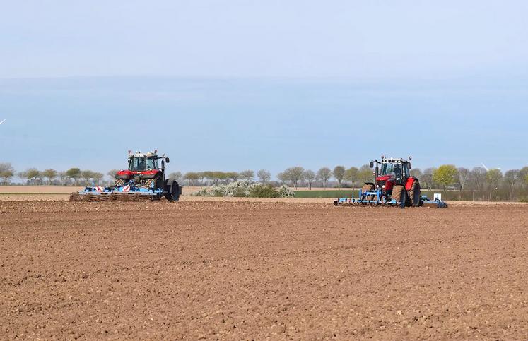 Les conditions doivent être réunies pour un départ vigoureux de la plante. 