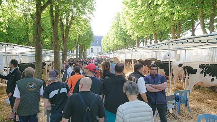 Foire de Montdidier