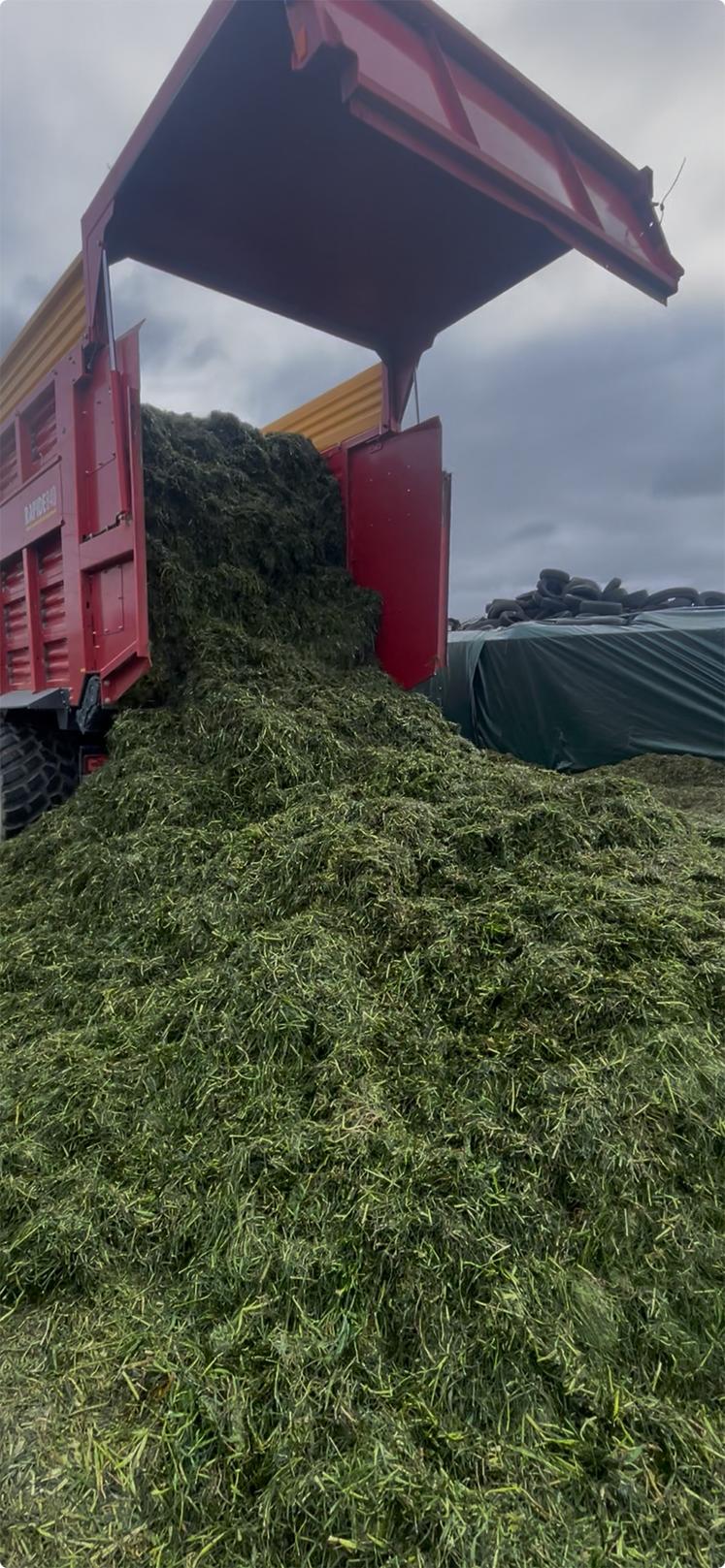 Le Gaec possède son propre parc matériel pour sécuriser sa récolte et agir en temps voulu, ce qui engendre des coûts supplémentaires, mais une plus grande souplesse et une meilleure réactivité. 