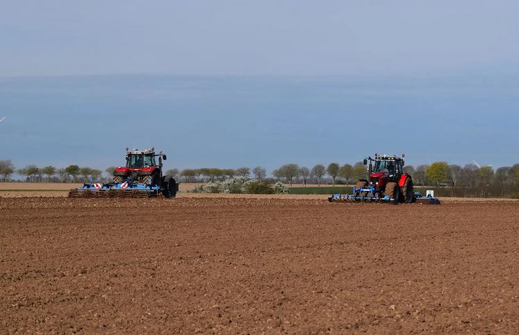 Le sol doit être ressuyé pour la préparation du lit de semences et suffisamment réchauffé pour optimiser la levée des plantes. 