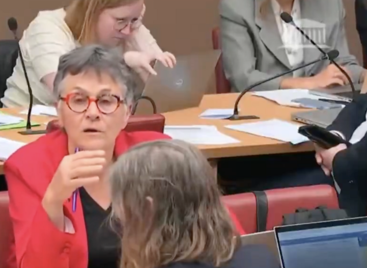 Dominique Voynet loi d'urgence agricole viande