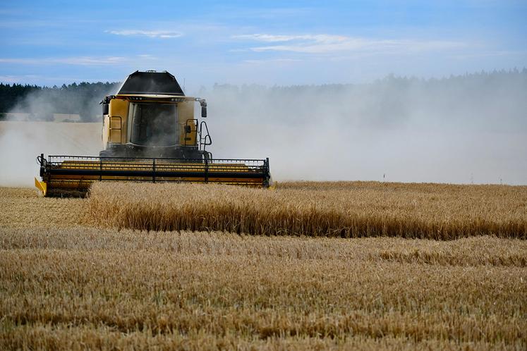 Les céréaliers redoutent une quatrième année dans le rouge. 