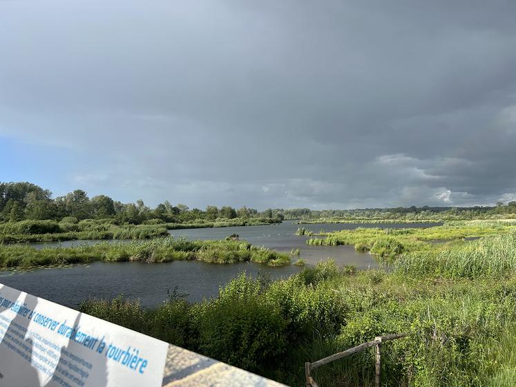 Sur le parcours, un belvédère a été installé et offre une vue idéale sur les marais. 