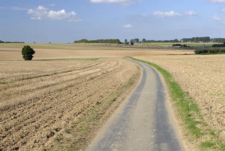 Ce 15 juillet, plus de 90 % des récoltes ont été levées dans l'Oise