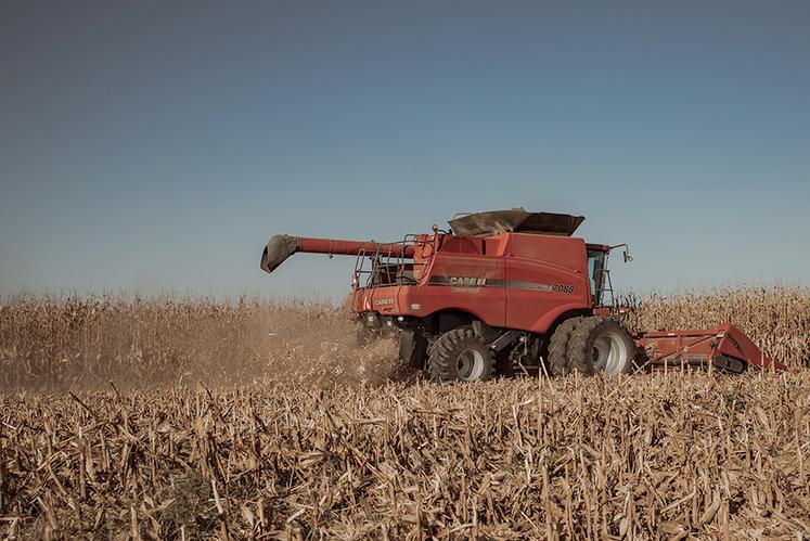 En vingt-cinq ans, l’Union européenne aurait ainsi perdu près de 2 millions d’hectares de maïs et serait devenue structurellement dépendante du marché mondial.