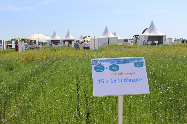 Le fractionnement de l’azote est uniquement intéressant pour le lin de printemps.