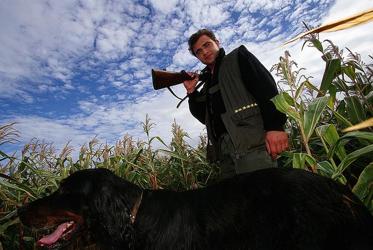 Pour sa première année, le dispositif Chasseurs en soutien a permis l’organisation de plus de 10 battues entre juin et septembre 2025.
