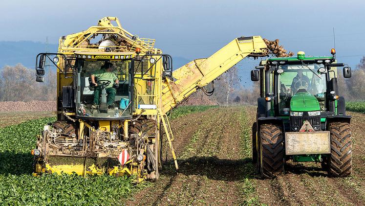 La situation serait très variable selon les secteurs.