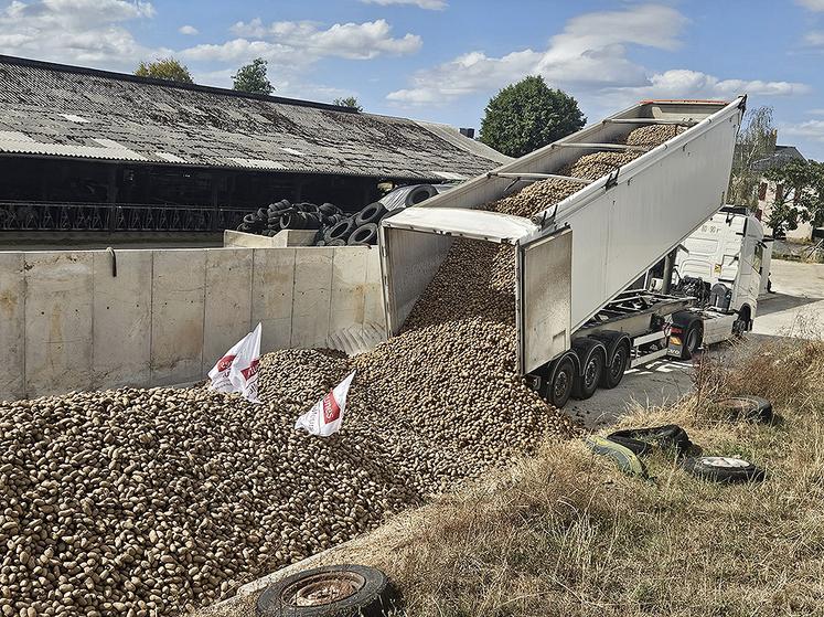 Vingt-trois camions ont livré des pommes de terre dans treize exploitations  différentes sur le département de la Mayenne.  