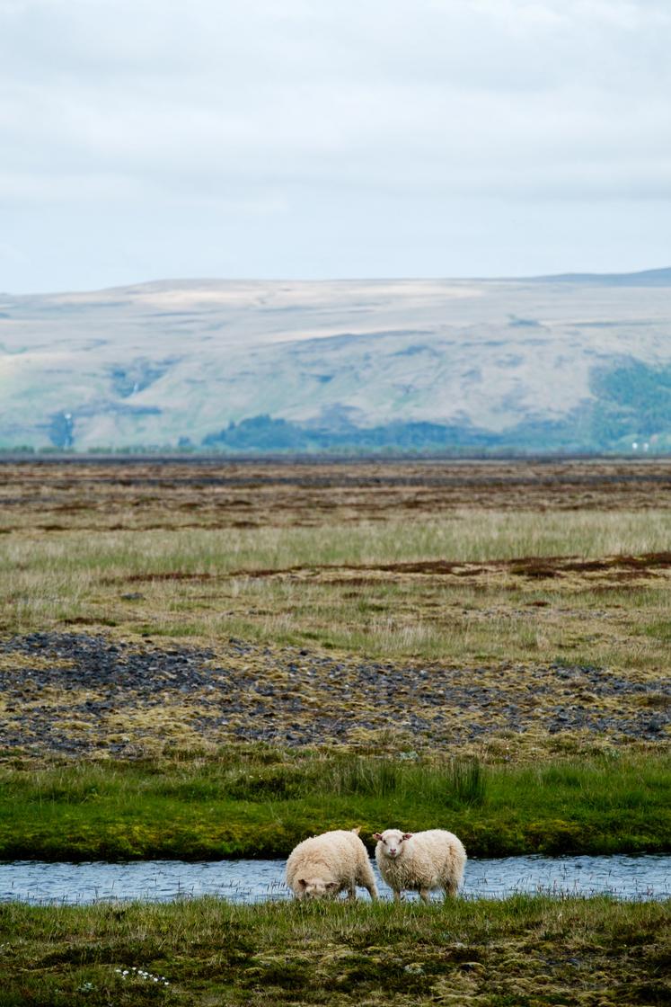 Islande rejet adhésion Union européenne 