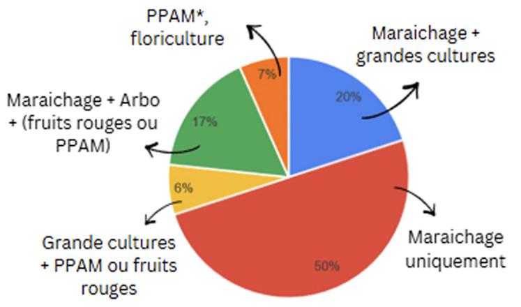 Système de production des répondants.