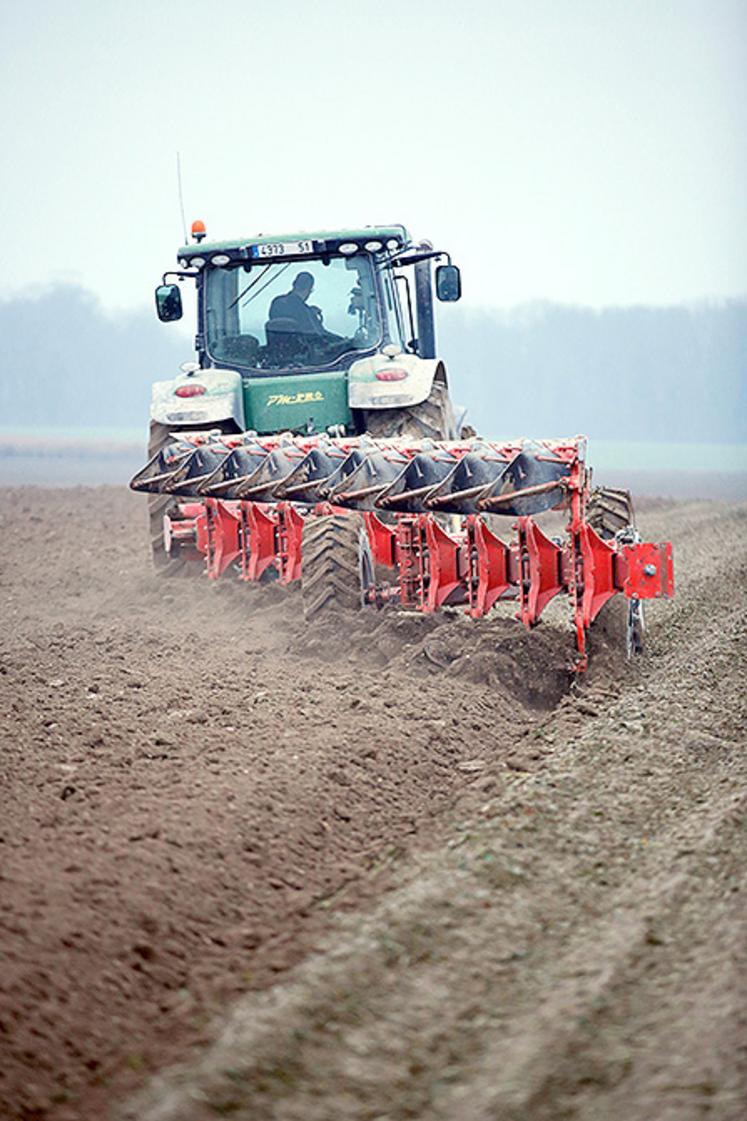La préparation des sols constitue  une première étape stratégique de la campagne céréalière. Face à la hausse des charges et aux incertitudes climatiques, les choix techniques réalisés  à l’automne pèseront sur la rentabilité du blé en 2026-2027.