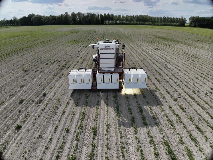Le laser weeder lors des essais d’évaluation de performances par la Chambre d’agriculture de la Somme.