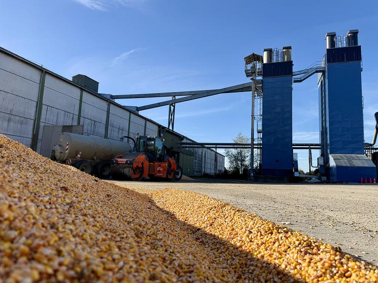 Le nouveau séchoir (à droite) permet d’optimiser la valorisation des céréales des adhérents de la coopérative. 