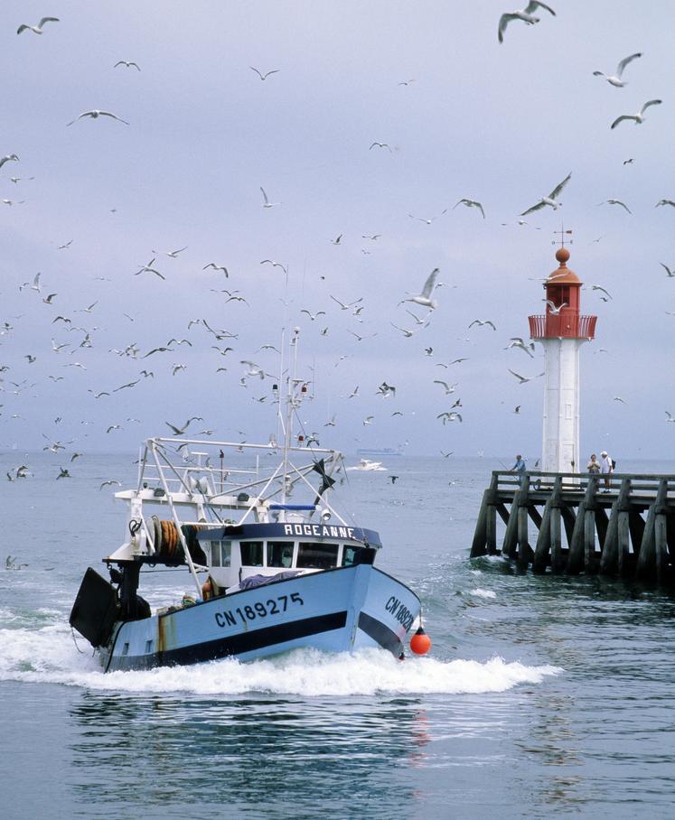 pêche aide carburant