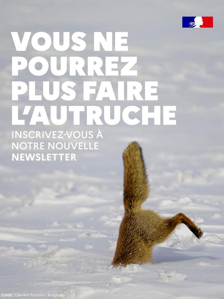 newsletter OFB Le fil du vivant