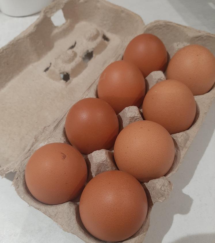 numérotation oeufs