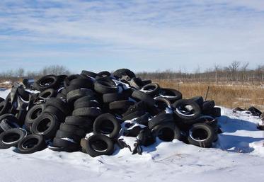 Première étape : connaître le stock de pneus. Déclarez ce que vous avez sur le questionnaire en ligne.