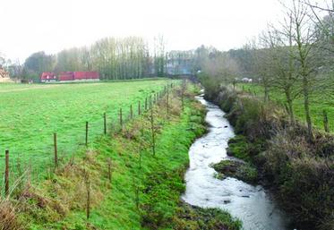 Une juridiction vient de casser un arrêté de zonage, notamment sur le volet très controversé du seuil de nitrates dans les eaux de surface pour lutter conte l'eutrophisation.