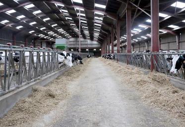 Les aménagements de bâtiment pour améliorer les conditions de travail et le bien-être animal peuvent être aidés dans le PCAE.