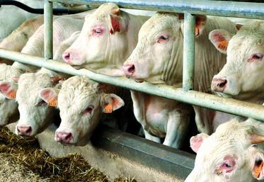 La demande d’aide doit être réalisée entre le 1er et le 31 mars 2017.