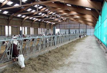 Un bâtiment qui allie clarté et respect des normes de ventilation, gage de productivité et de bien-être de l’éleveur 
et de ses animaux.