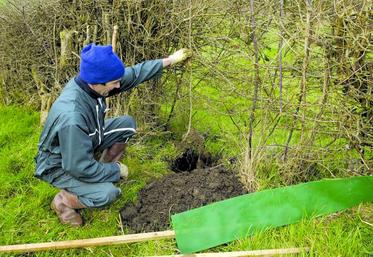 Avant de planter il est conseillé de bien se renseigner en mairie sur l’éventuelle existence de règles plus strictes pouvant s’appliquer dans votre commune.