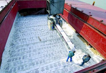 Tereos vise 15 % du marché mondial du sucre blanc d’ici 2020.