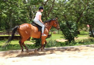 D’après le Cerfrance Picardie Nord de Seine, la crise du Covid-19 a chamboulé l’organisation d’un certain nombre d’entreprises de la filière équine ; ce qui doit aussi les amener à réfléchir sur leur fonctionnement.