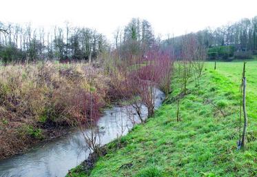 Le critère d’eutrophisation des eaux superficielles avec un seuil de 18 mg de nitrate par litre n’est aucunement défini par la directive nitrate et ne saurait donc être retenu pour étendre les zones vulnérables dans la Somme, estiment les responsables agricoles.