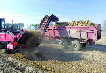 Ne pas laisser partir la marchandise à vil prix.