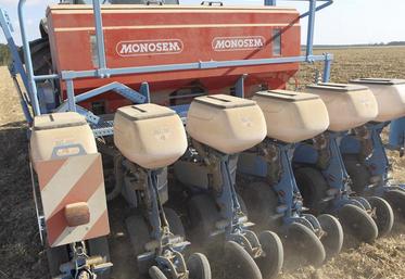 Plus on se dirige vers une date de semis tardive dans le mois d'août, plus il faudra être réactif pour saisir les fenêtres climatiques favorables et actionner les autres leviers.