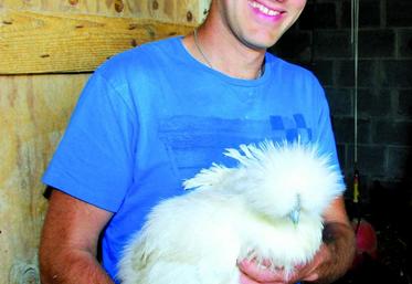 Tom Morizeau vend des poules pondeuses et tous les accessoires qui vont avec, du poulailler à la nourriture.