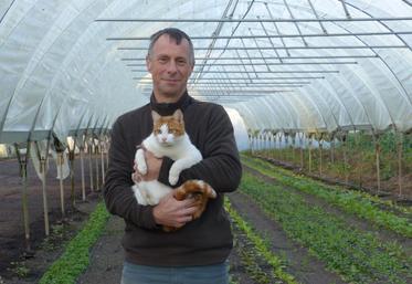 Loustic est l’un des cinq chats que Jean-Pierre Demailly a adopté pour se débarrasser des rongeurs, dévoreurs de légumes.