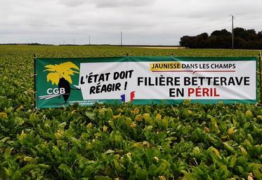 soutien région betteraves